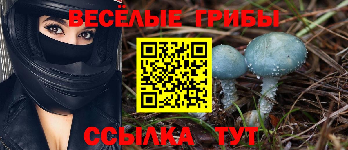 Псилоцибиновые грибы мухоморы Минусинск